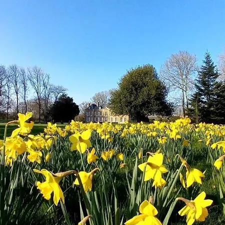 Couette-café Château De 4*