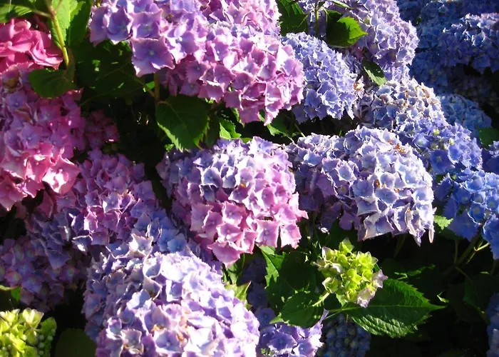 Chateau De 4* Cleuville