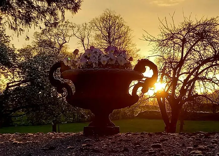 Chateau De Frühstückspension Cleuville