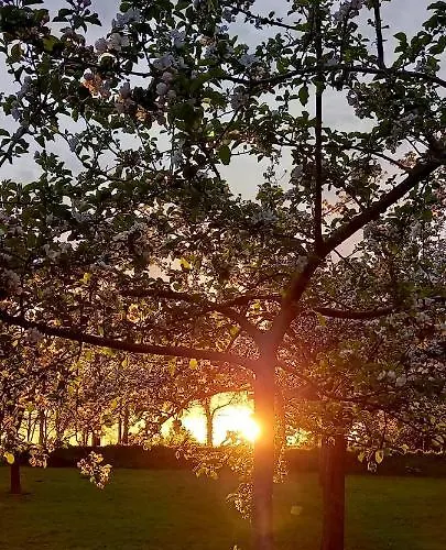 Frühstückspension Chateau De 4*