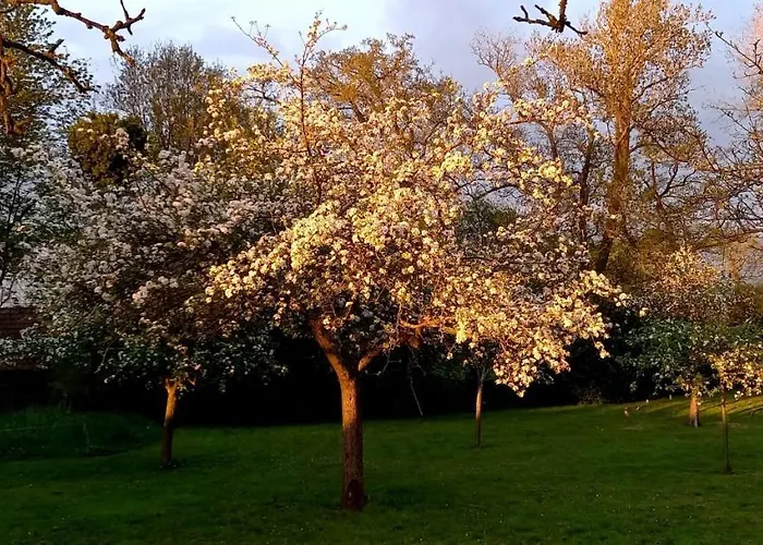 Chateau De Frühstückspension